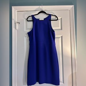 Purple jcrew dress.